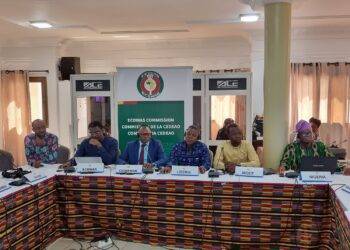 Preparation of the Annual Report on ECOWAS Regional Economic Outlook: Experts agree on the technical modalities and timetable for execution.