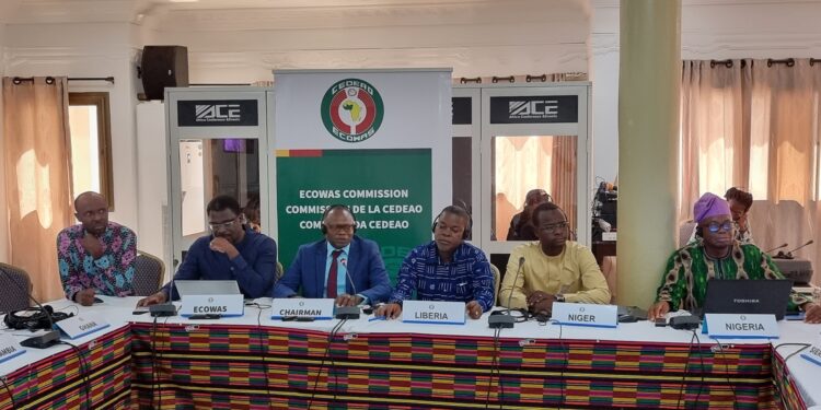 Preparation of the Annual Report on ECOWAS Regional Economic Outlook: Experts agree on the technical modalities and timetable for execution.