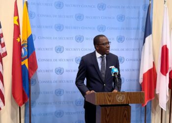 Ambassador Micheal Imran Kanu: Our Man at the UN Security Council